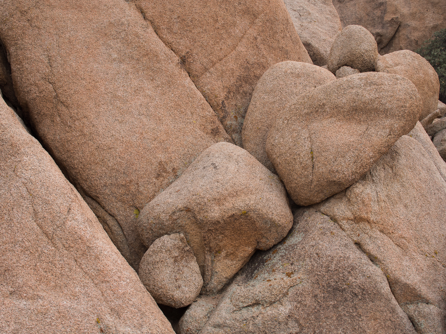 Joshua Tree National Park.  I found this while trying to escape the November heat.