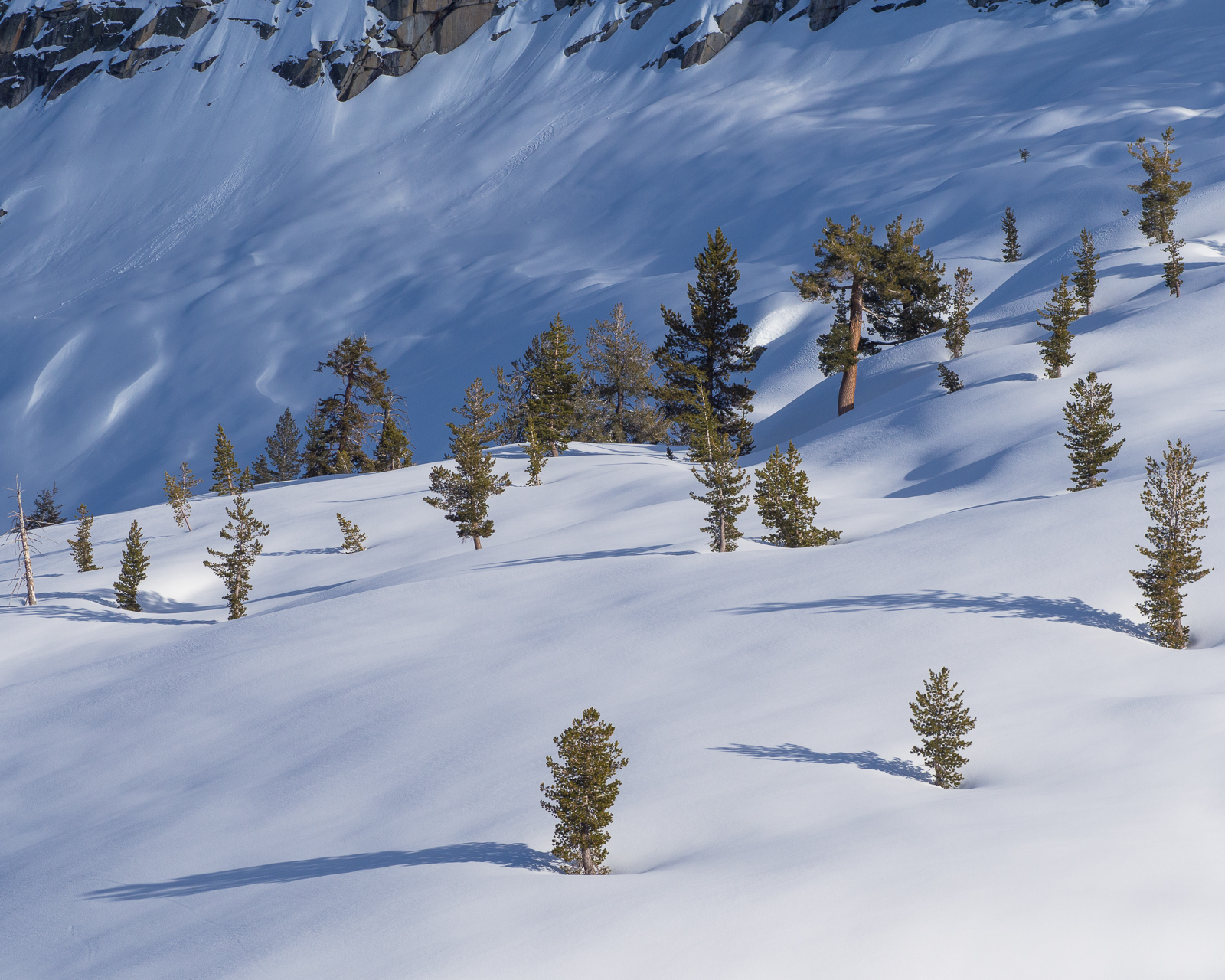 Horse Ridge, Ostrander Lake, Yosemite