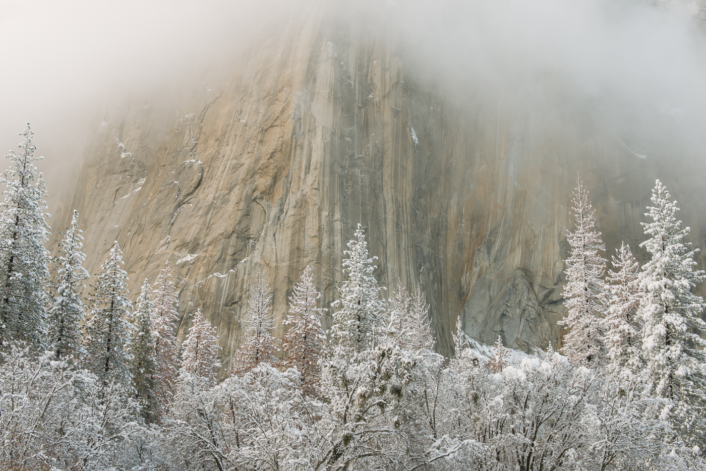 Looking at the Nose from El Capitan Meadow. It was wonderful to see snow again in Yosemite Valley.