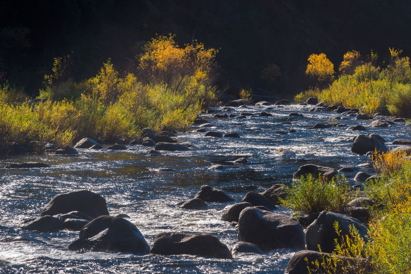 This was along the Merced River in El Portal.
